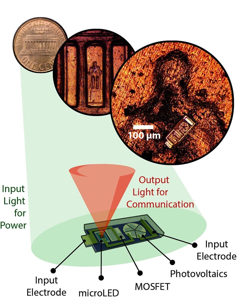 Nanoscale electronics: Microsensors transmit data from living tissue