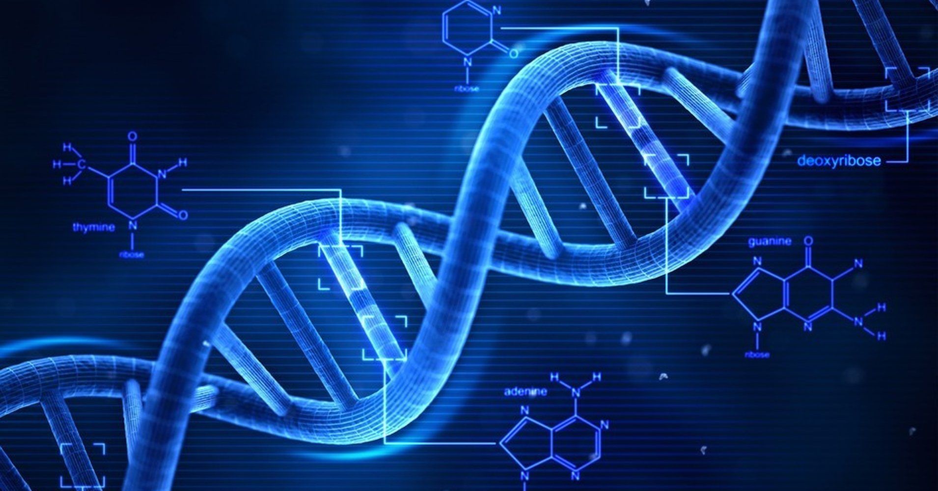 DNA Computing