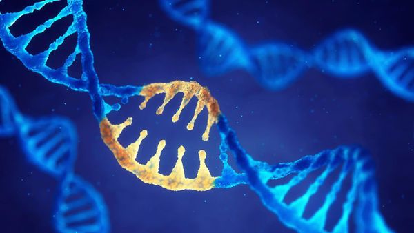 Synthetic DNA Storage