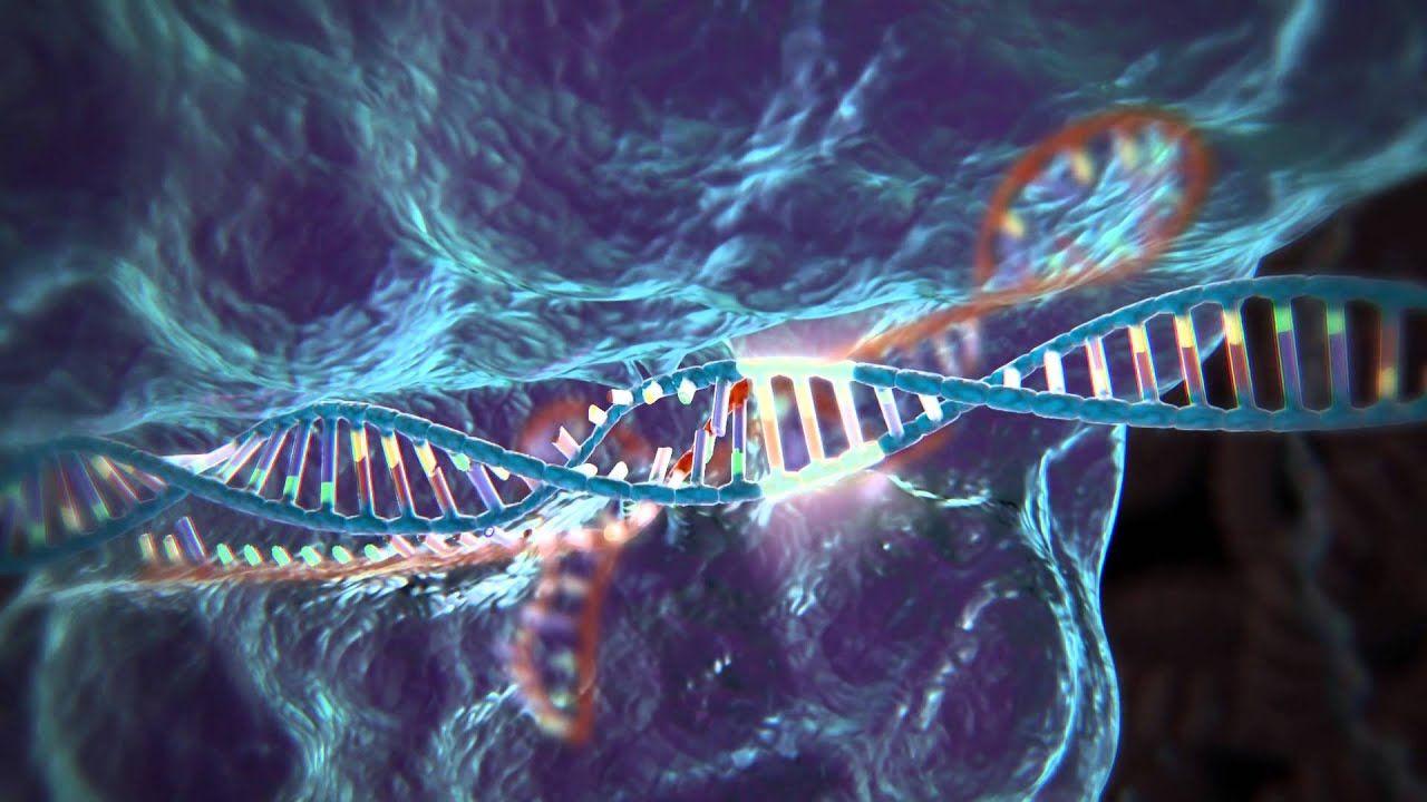 CRISPR genome-editing system