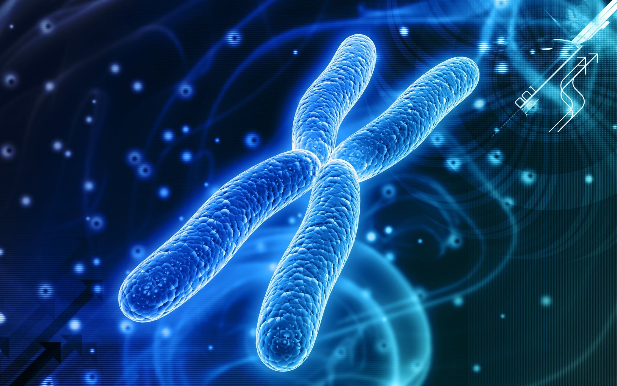 Human Artificial Chromosome (HAC)