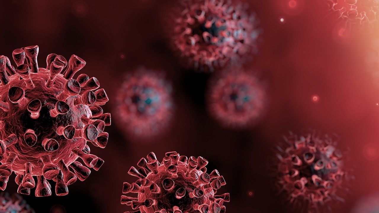 Coronavirus: HIV-like mutation
