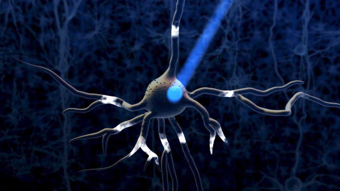 Optogenetics: Light as method for brain cell remote control