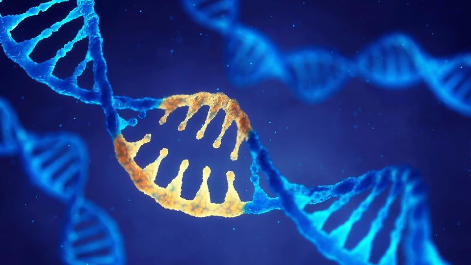 Synthetic DNA Storage