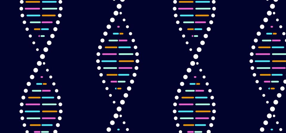 Four new DNA letters double life’s alphabet
