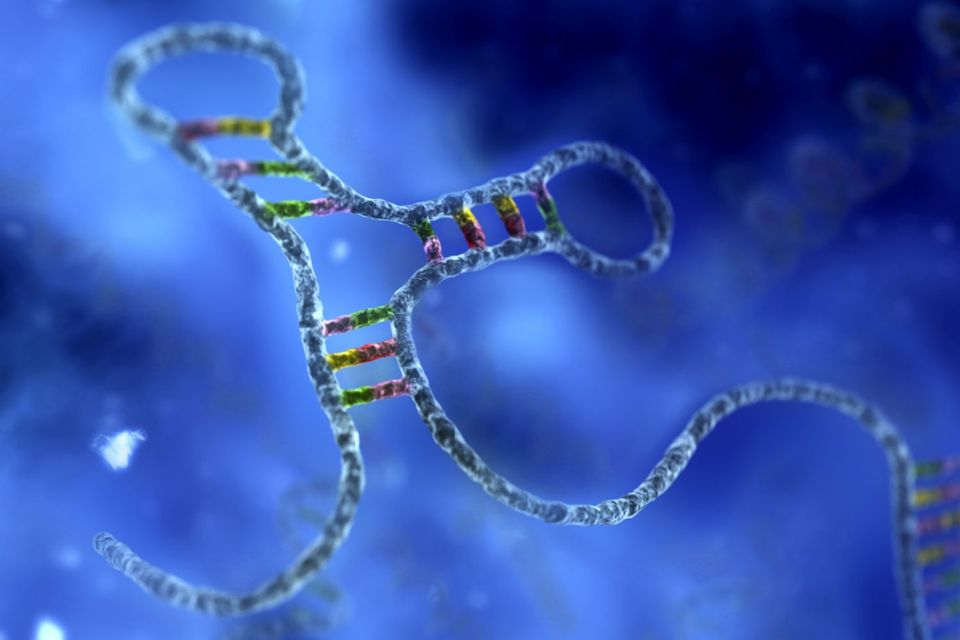 RNA: The Future Generation of Therapeutics