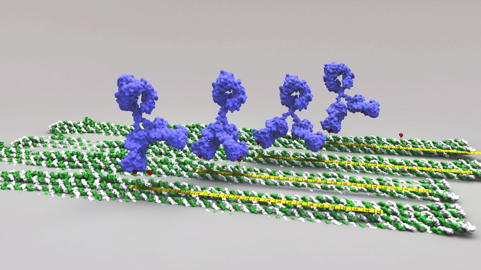 DNA Logic Gates as Components of Molecular Robots