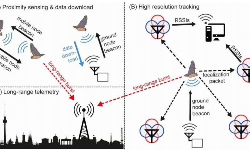 Sensor network for tracking small animals